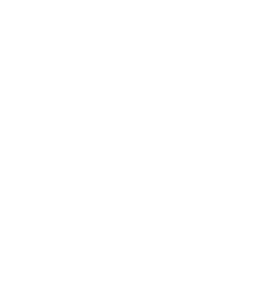 Ogerteam
